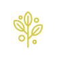 Herbal garden