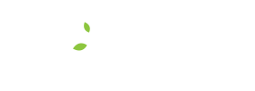 Bumblebee Branding Company